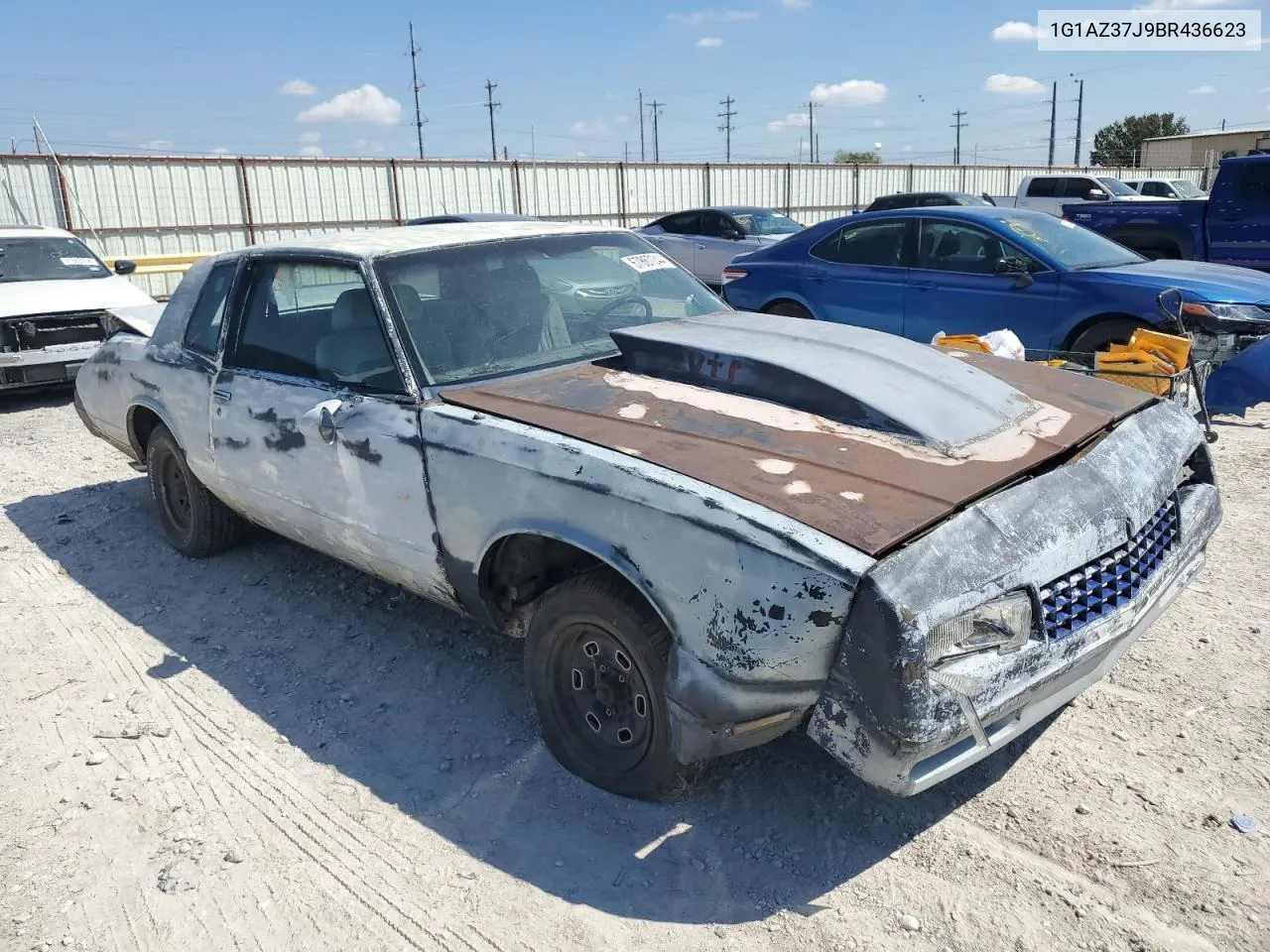 1981 Chevrolet Monte Carlo VIN: 1G1AZ37J9BR436623 Lot: 67867244