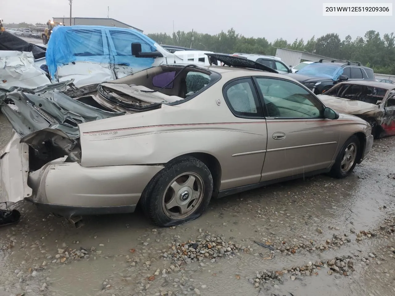 2001 Chevrolet Monte Carlo Ls VIN: 2G1WW12E519209306 Lot: 74238624