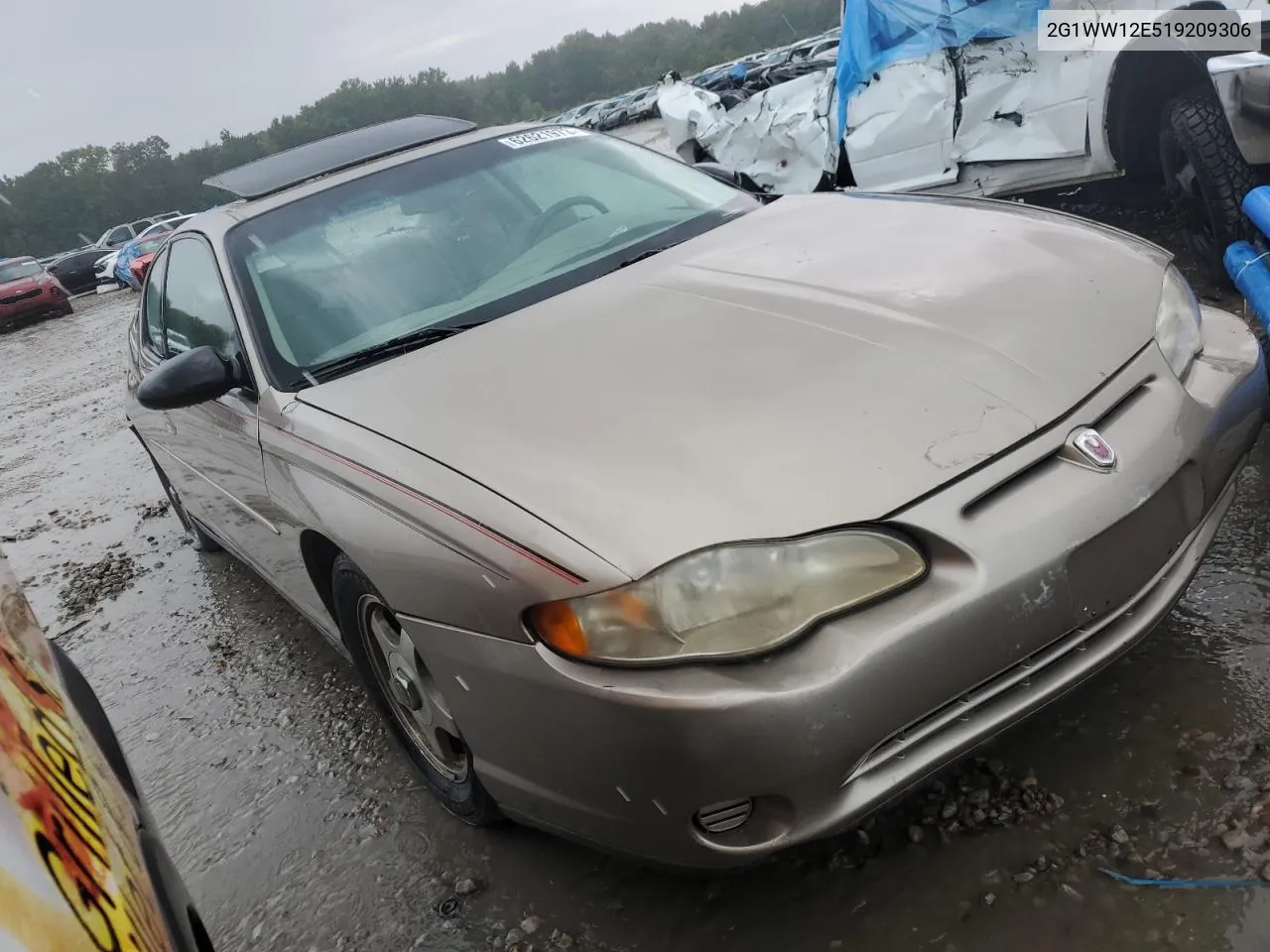 2001 Chevrolet Monte Carlo Ls VIN: 2G1WW12E519209306 Lot: 74238624