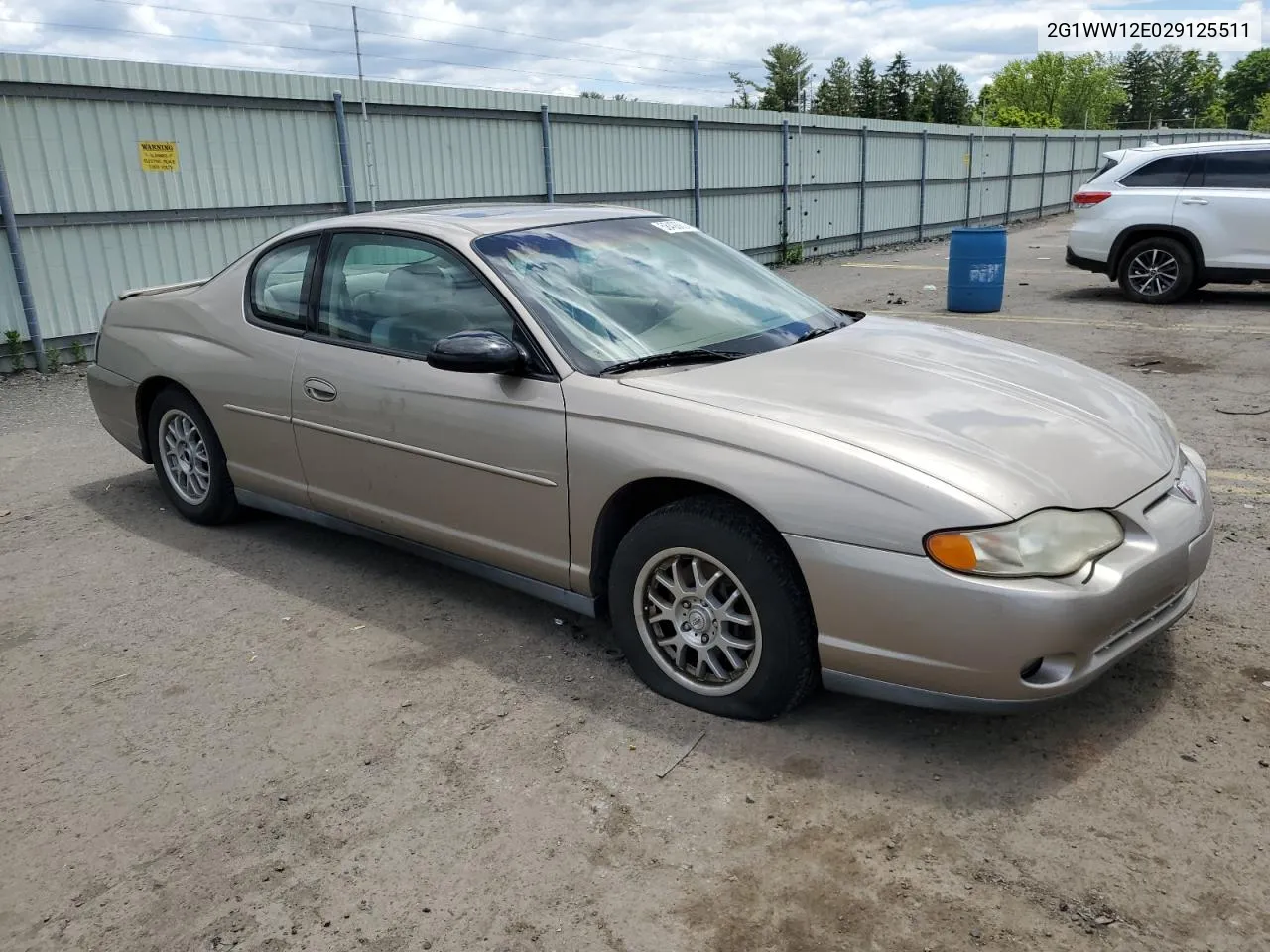 2002 Chevrolet Monte Carlo Ls VIN: 2G1WW12E029125511 Lot: 58428624