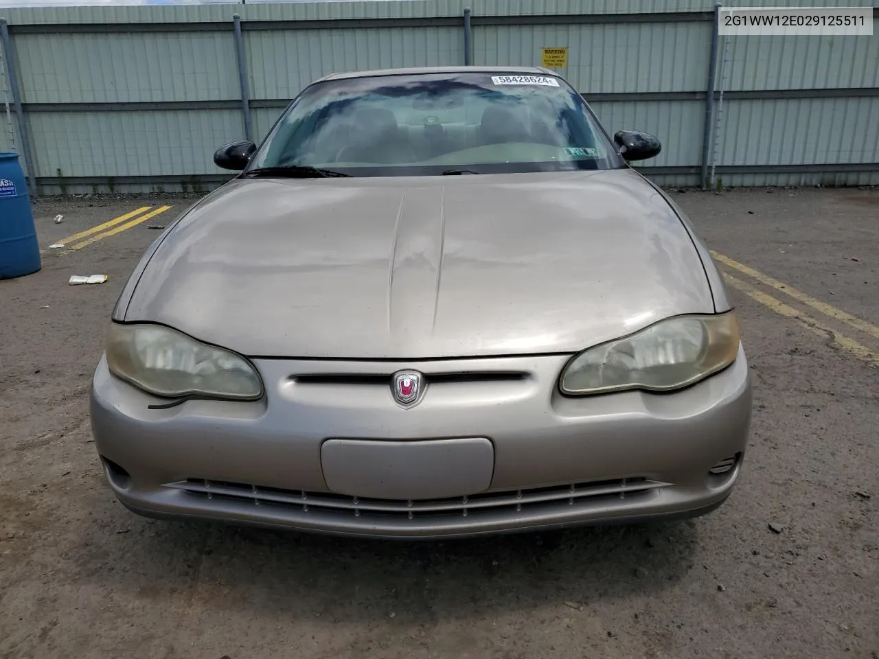 2002 Chevrolet Monte Carlo Ls VIN: 2G1WW12E029125511 Lot: 58428624