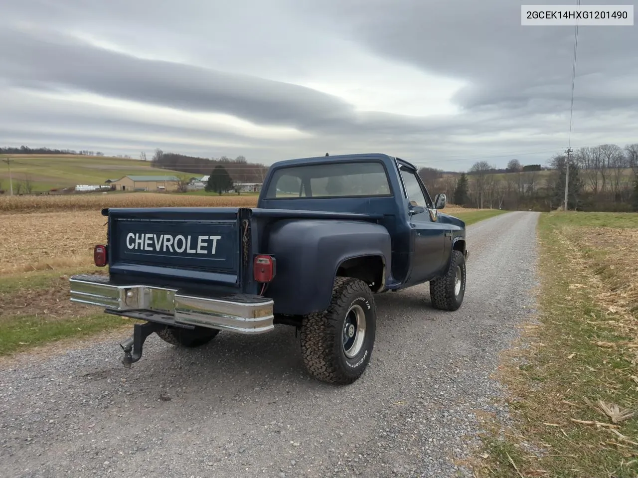 1986 Chevrolet K10 VIN: 2GCEK14HXG1201490 Lot: 81163074