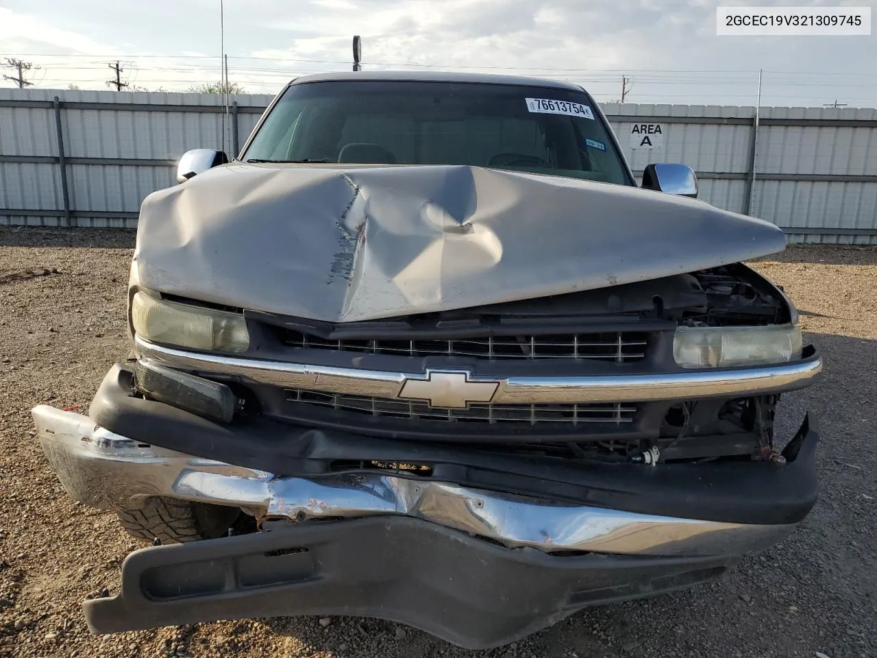 2002 Chevrolet Silverado C1500 VIN: 2GCEC19V321309745 Lot: 76613754