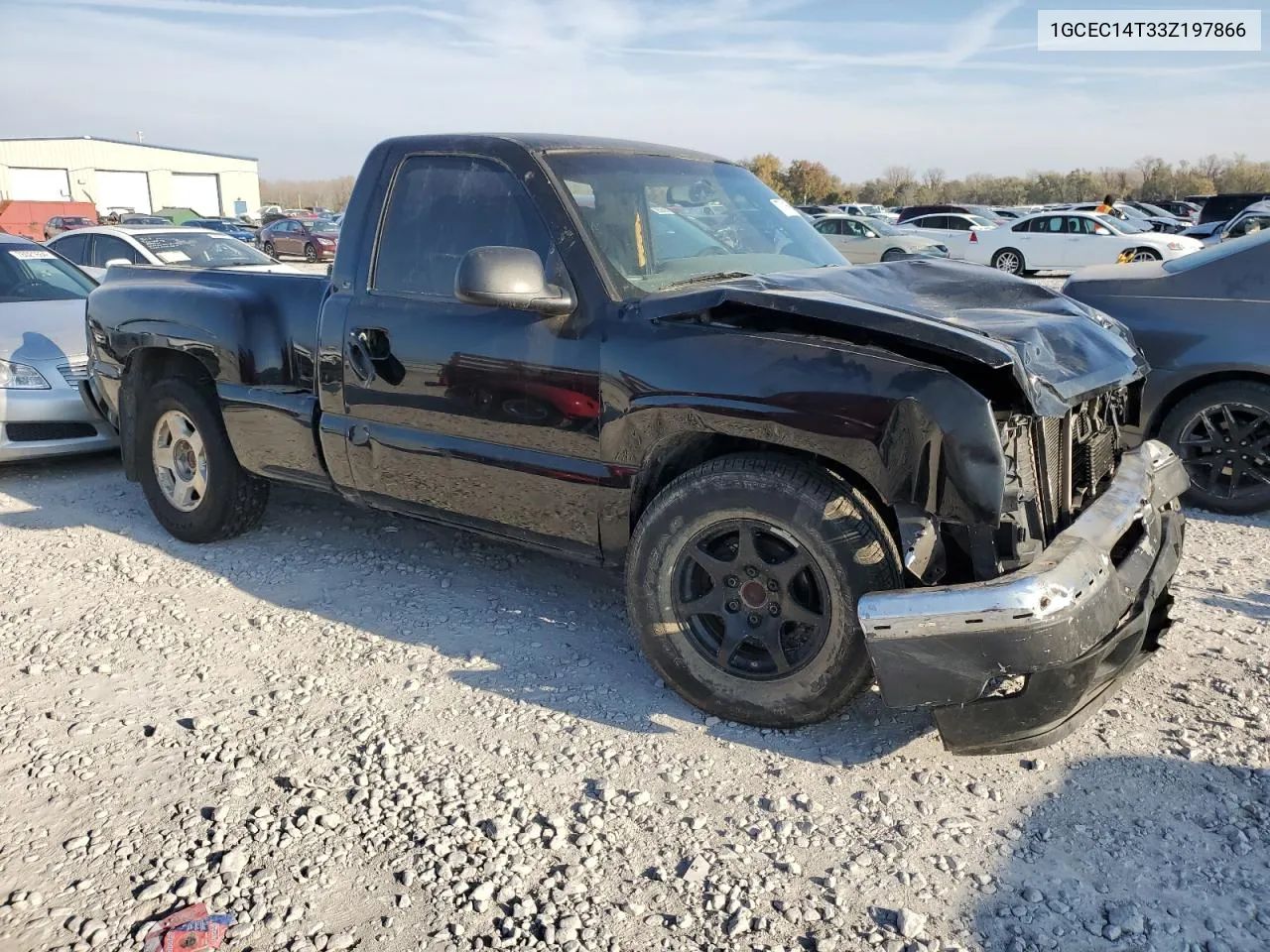 2003 Chevrolet Silverado C1500 VIN: 1GCEC14T33Z197866 Lot: 77816964