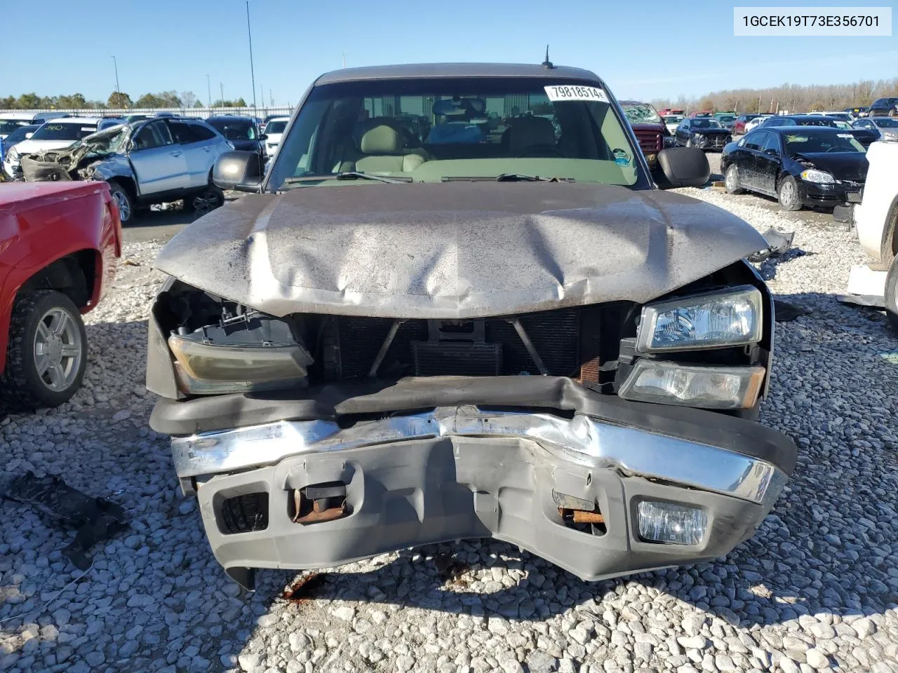 2003 Chevrolet Silverado K1500 VIN: 1GCEK19T73E356701 Lot: 79818514