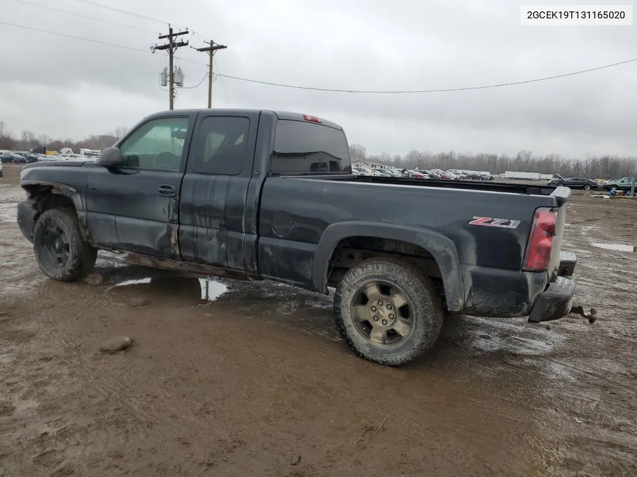 2003 Chevrolet Silverado K1500 VIN: 2GCEK19T131165020 Lot: 79850744