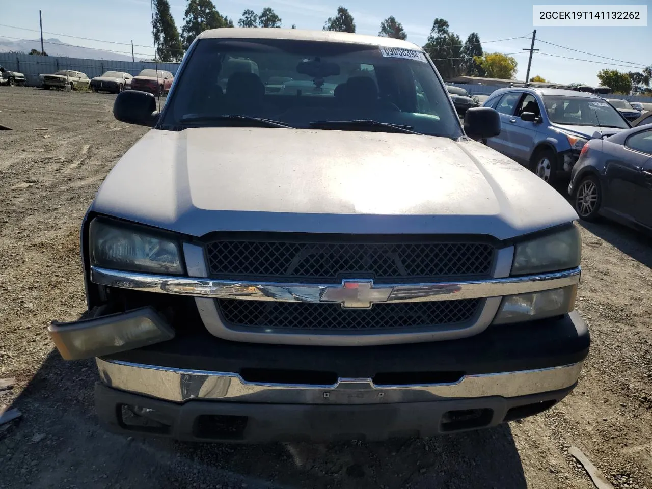 2004 Chevrolet Silverado K1500 VIN: 2GCEK19T141132262 Lot: 69058394