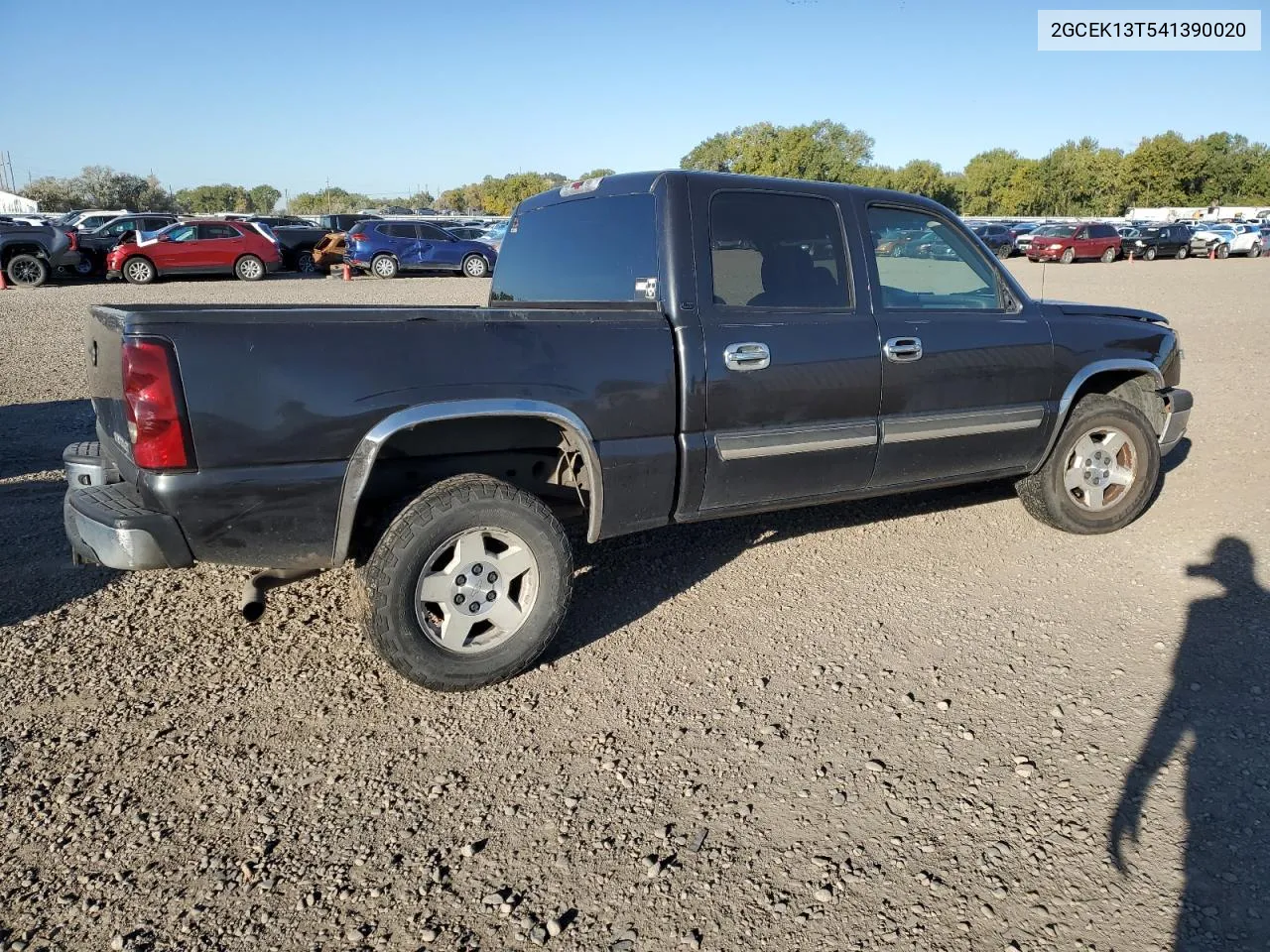 2004 Chevrolet Silverado K1500 VIN: 2GCEK13T541390020 Lot: 74220454