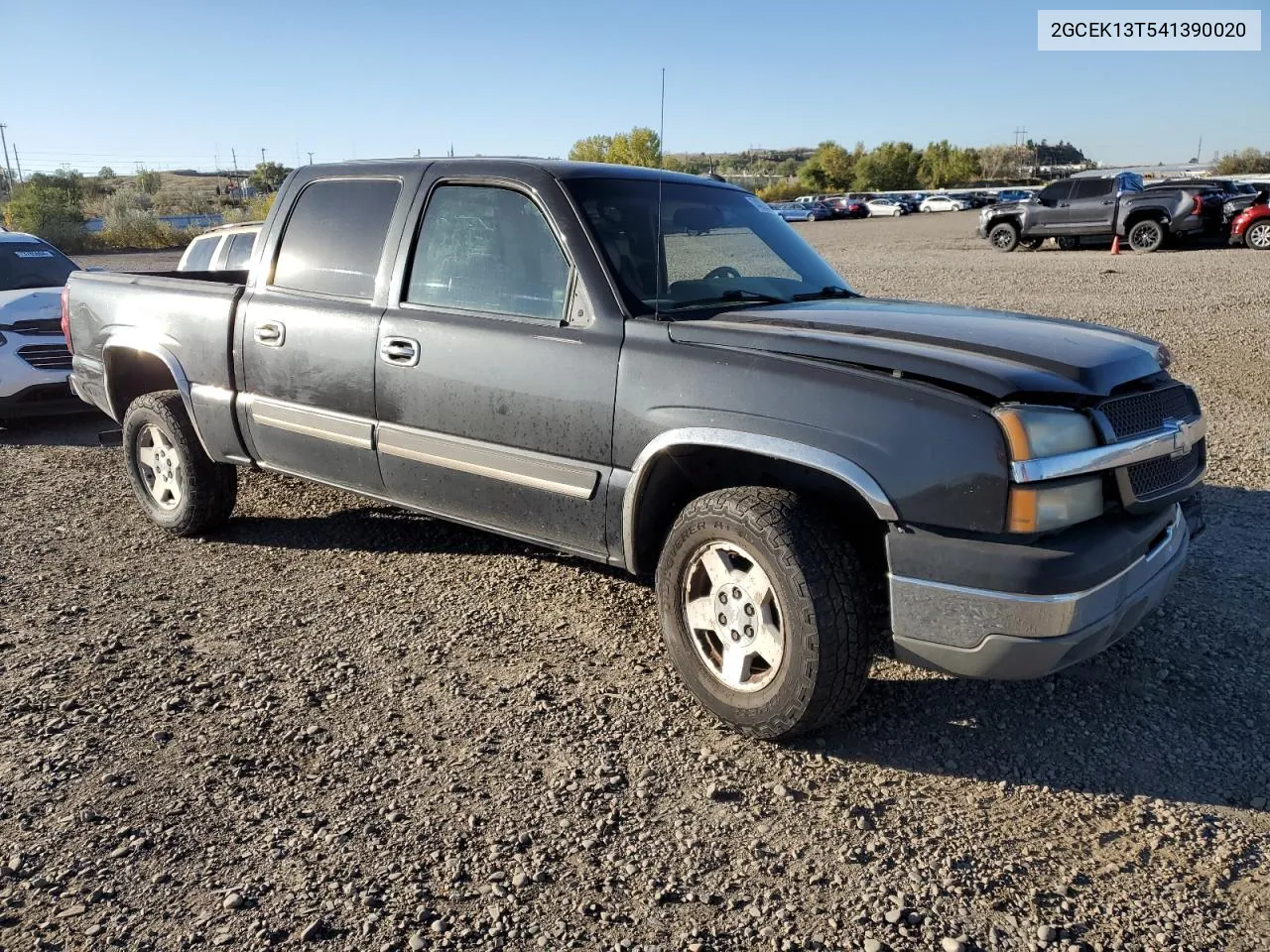 2004 Chevrolet Silverado K1500 VIN: 2GCEK13T541390020 Lot: 74220454