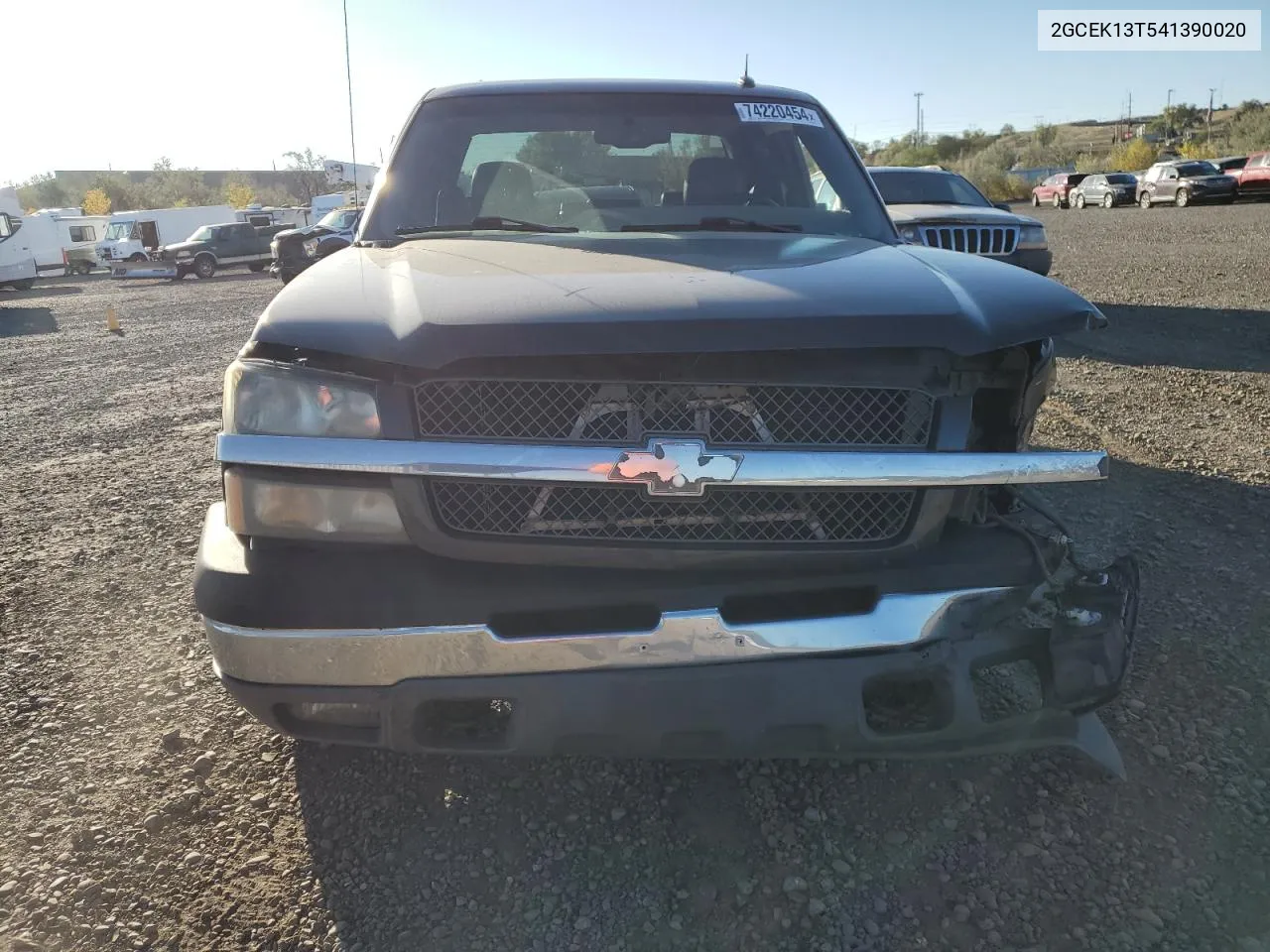 2004 Chevrolet Silverado K1500 VIN: 2GCEK13T541390020 Lot: 74220454