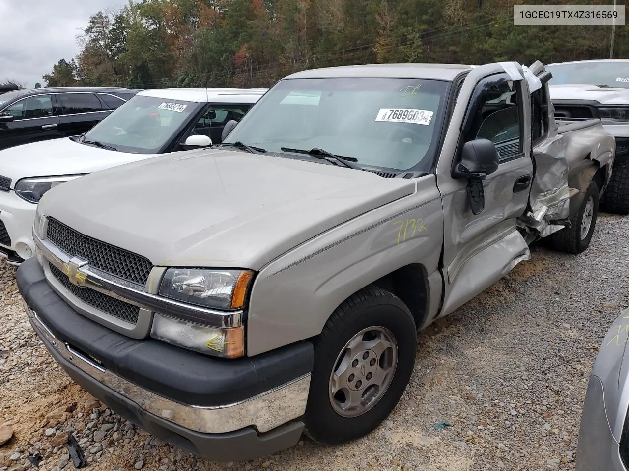 2004 Chevrolet Silverado C1500 VIN: 1GCEC19TX4Z316569 Lot: 76896034