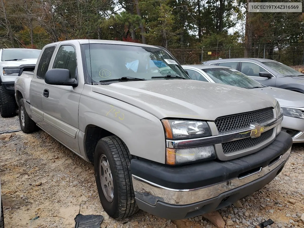 2004 Chevrolet Silverado C1500 VIN: 1GCEC19TX4Z316569 Lot: 76896034