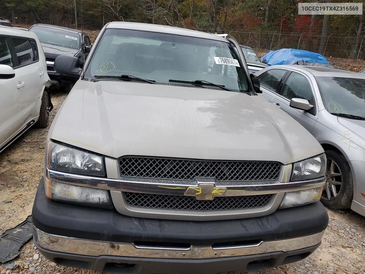 2004 Chevrolet Silverado C1500 VIN: 1GCEC19TX4Z316569 Lot: 76896034