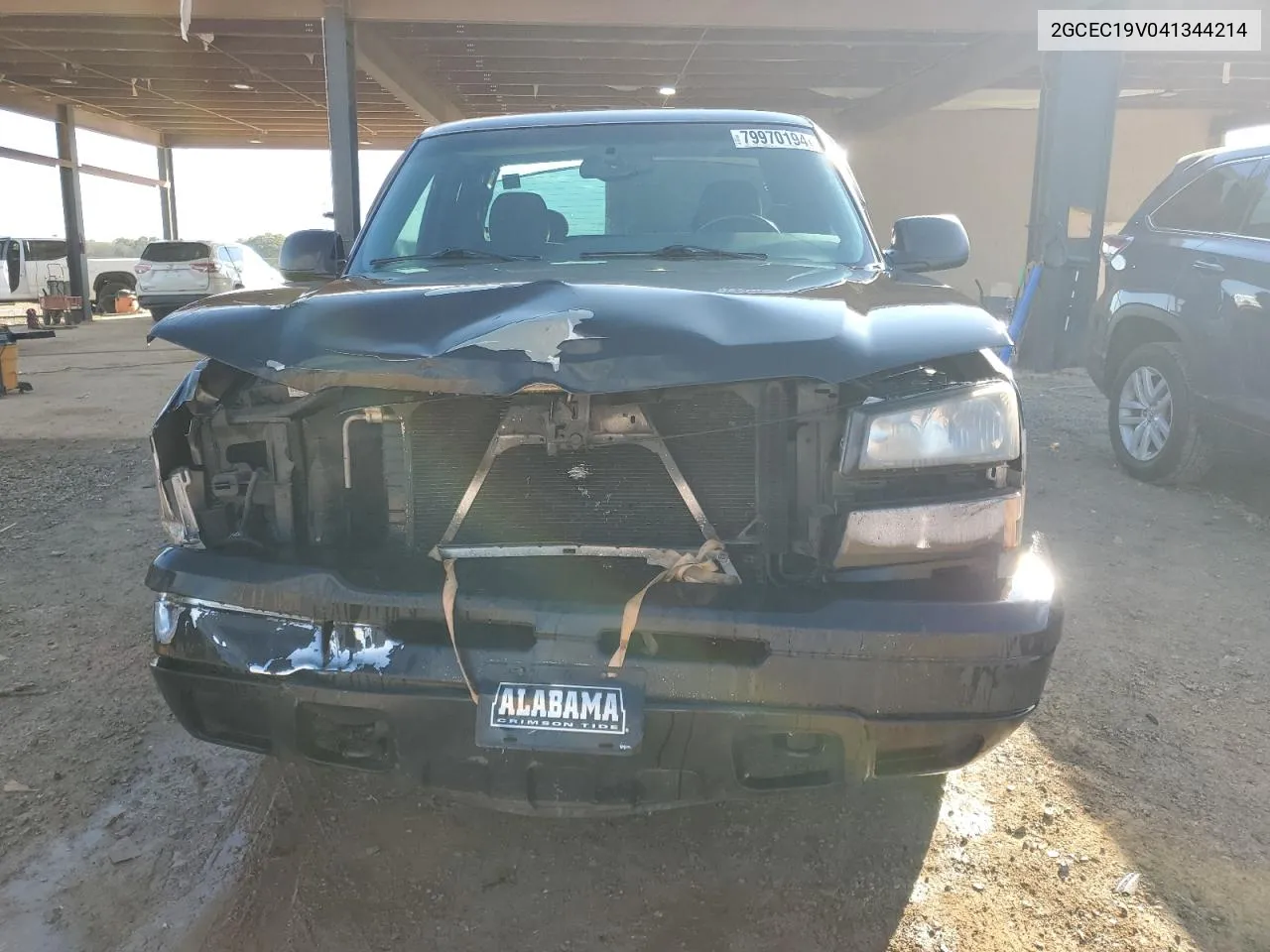 2004 Chevrolet Silverado C1500 VIN: 2GCEC19V041344214 Lot: 79970194