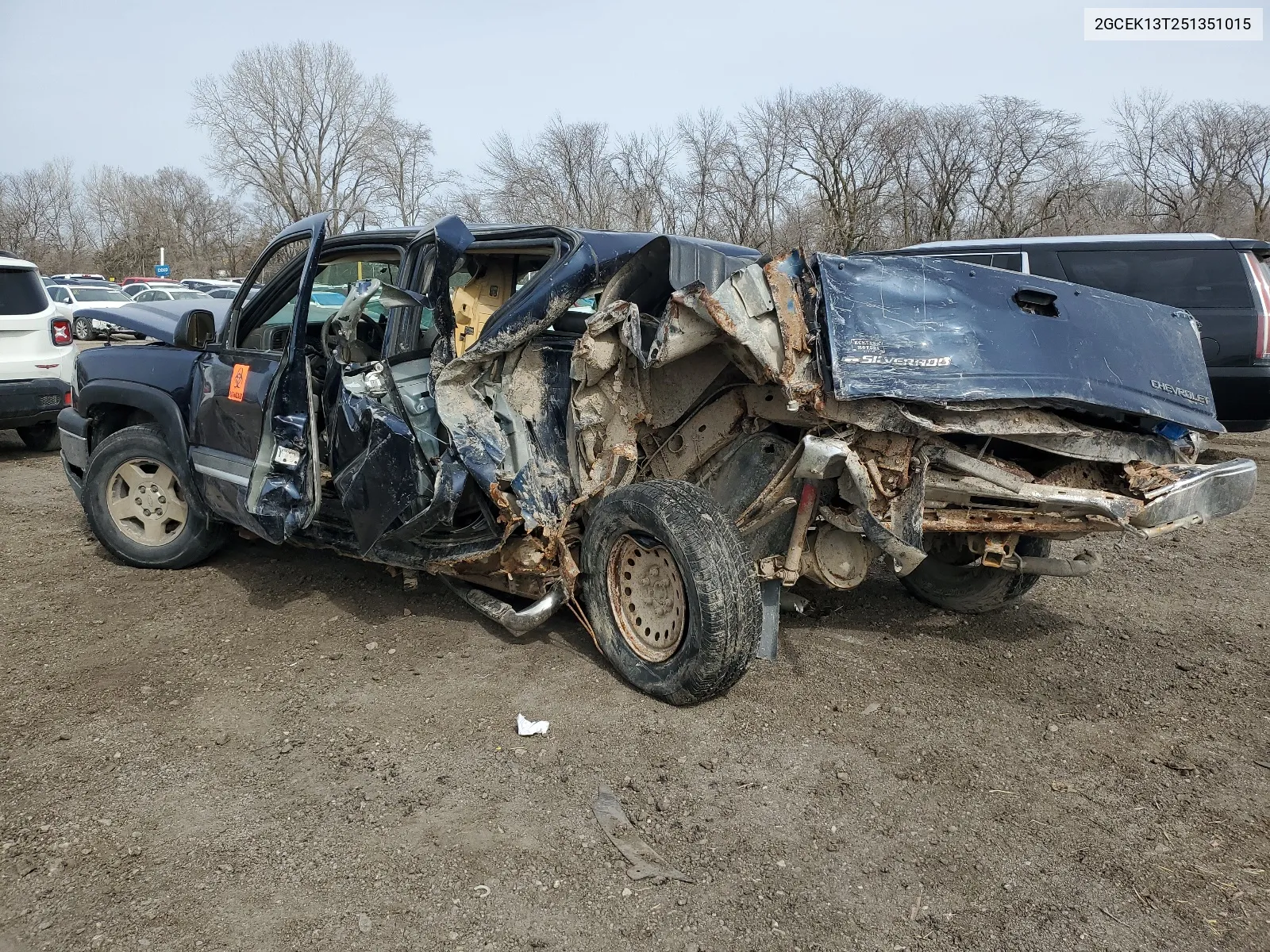 2005 Chevrolet Silverado K1500 VIN: 2GCEK13T251351015 Lot: 46310464