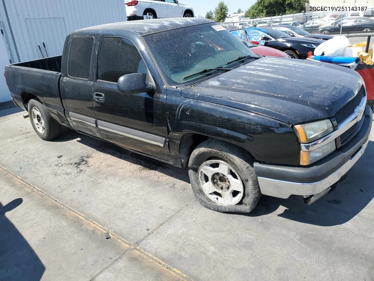 2005 Chevrolet Silverado C1500 VIN: 2GCEC19V251143187 Lot: 63704354