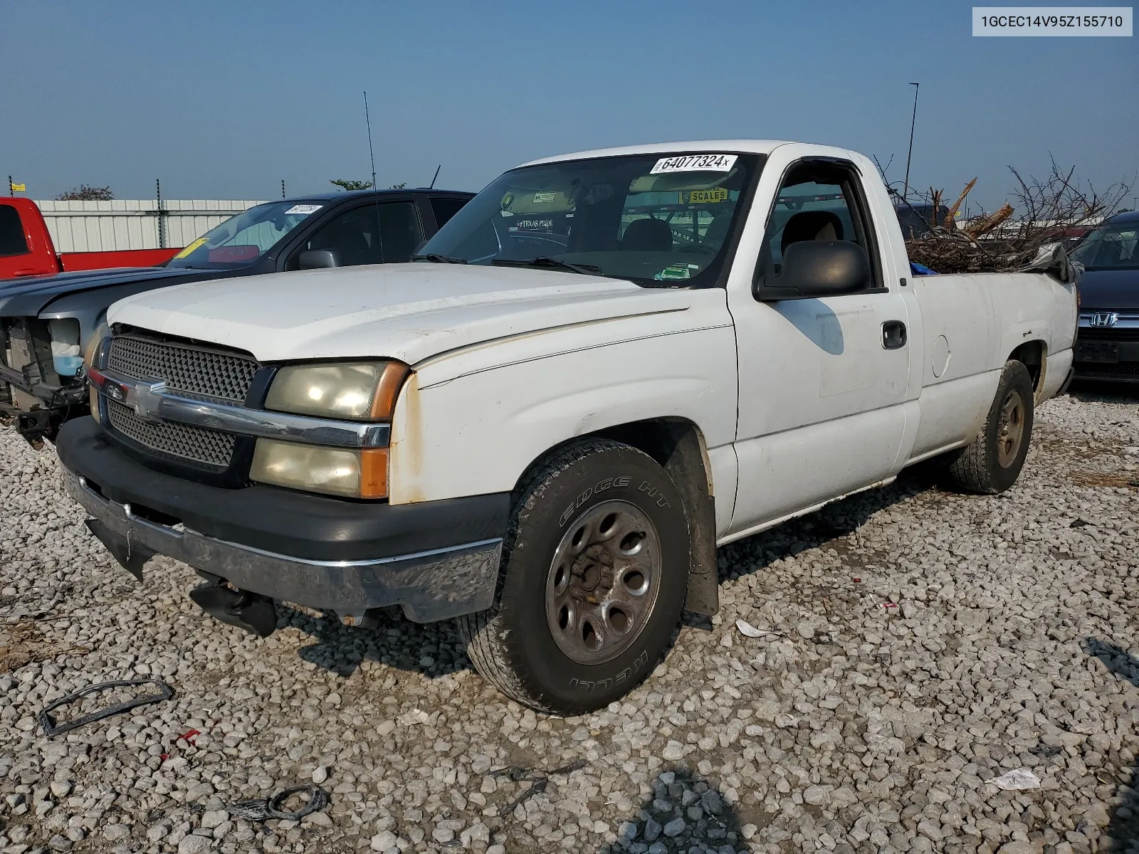 2005 Chevrolet Silverado C1500 VIN: 1GCEC14V95Z155710 Lot: 64077324