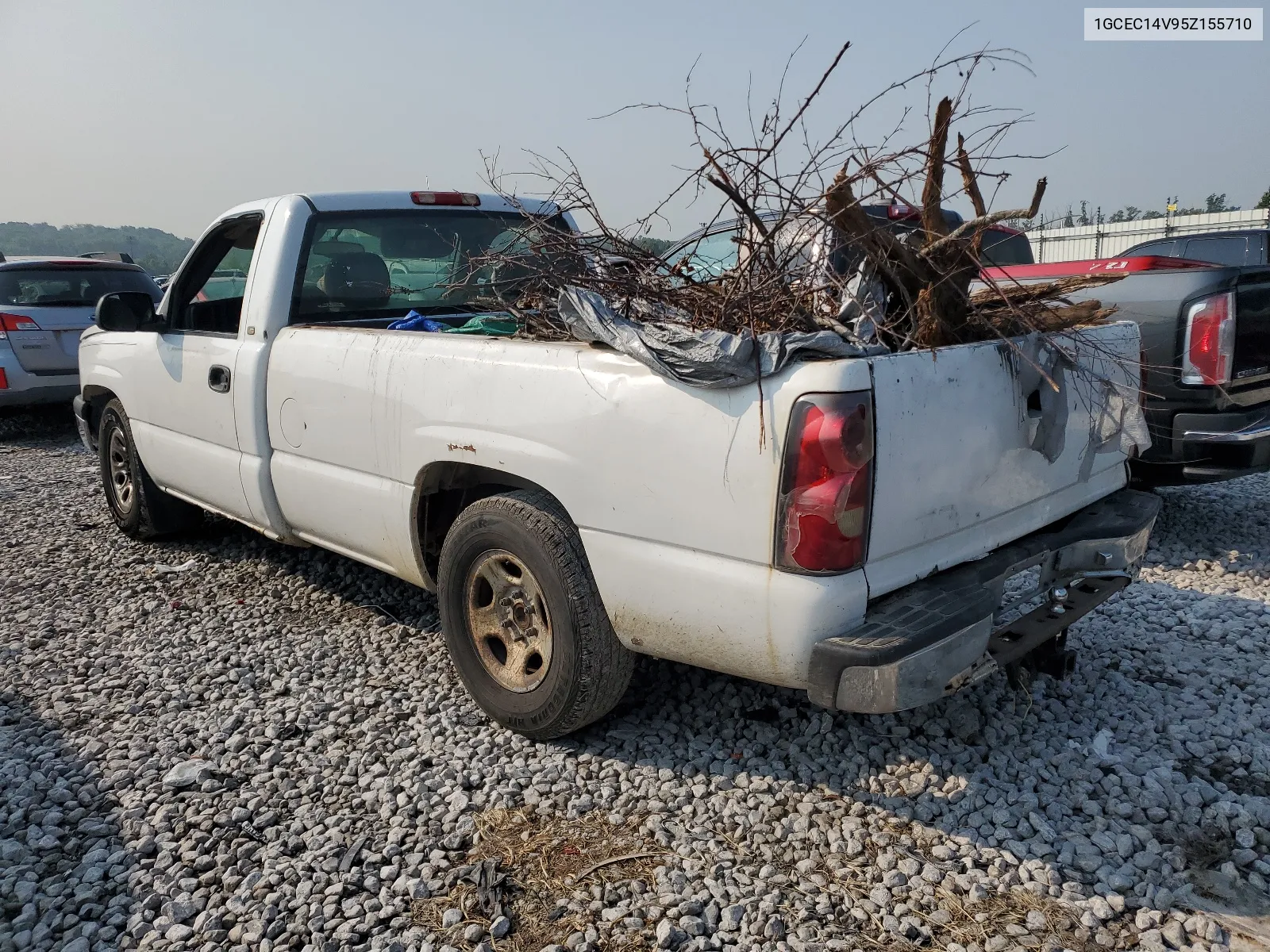 2005 Chevrolet Silverado C1500 VIN: 1GCEC14V95Z155710 Lot: 64077324