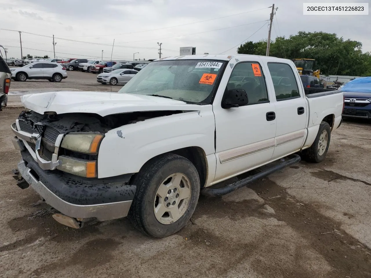 2005 Chevrolet Silverado C1500 VIN: 2GCEC13T451226823 Lot: 65417044