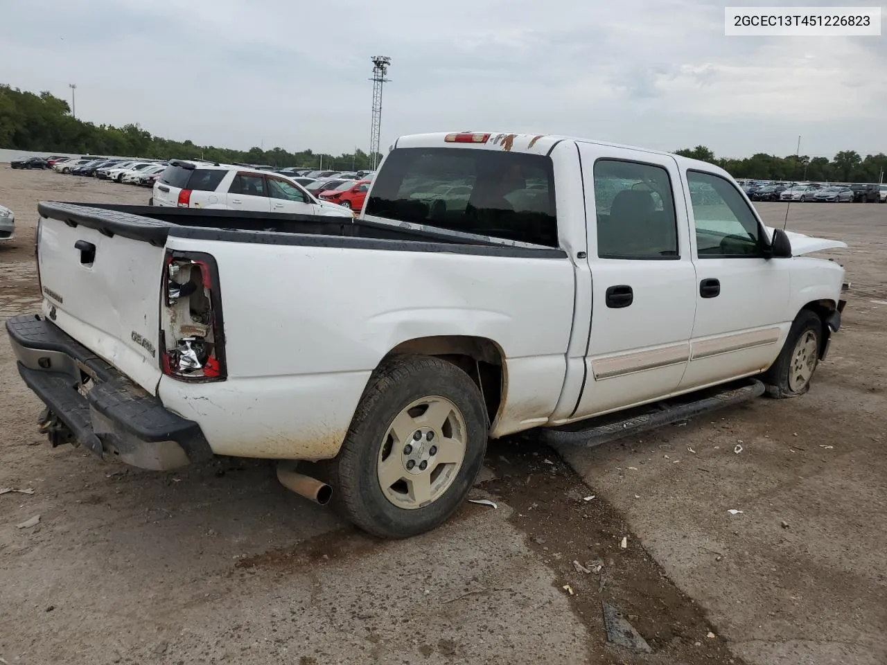 2005 Chevrolet Silverado C1500 VIN: 2GCEC13T451226823 Lot: 65417044