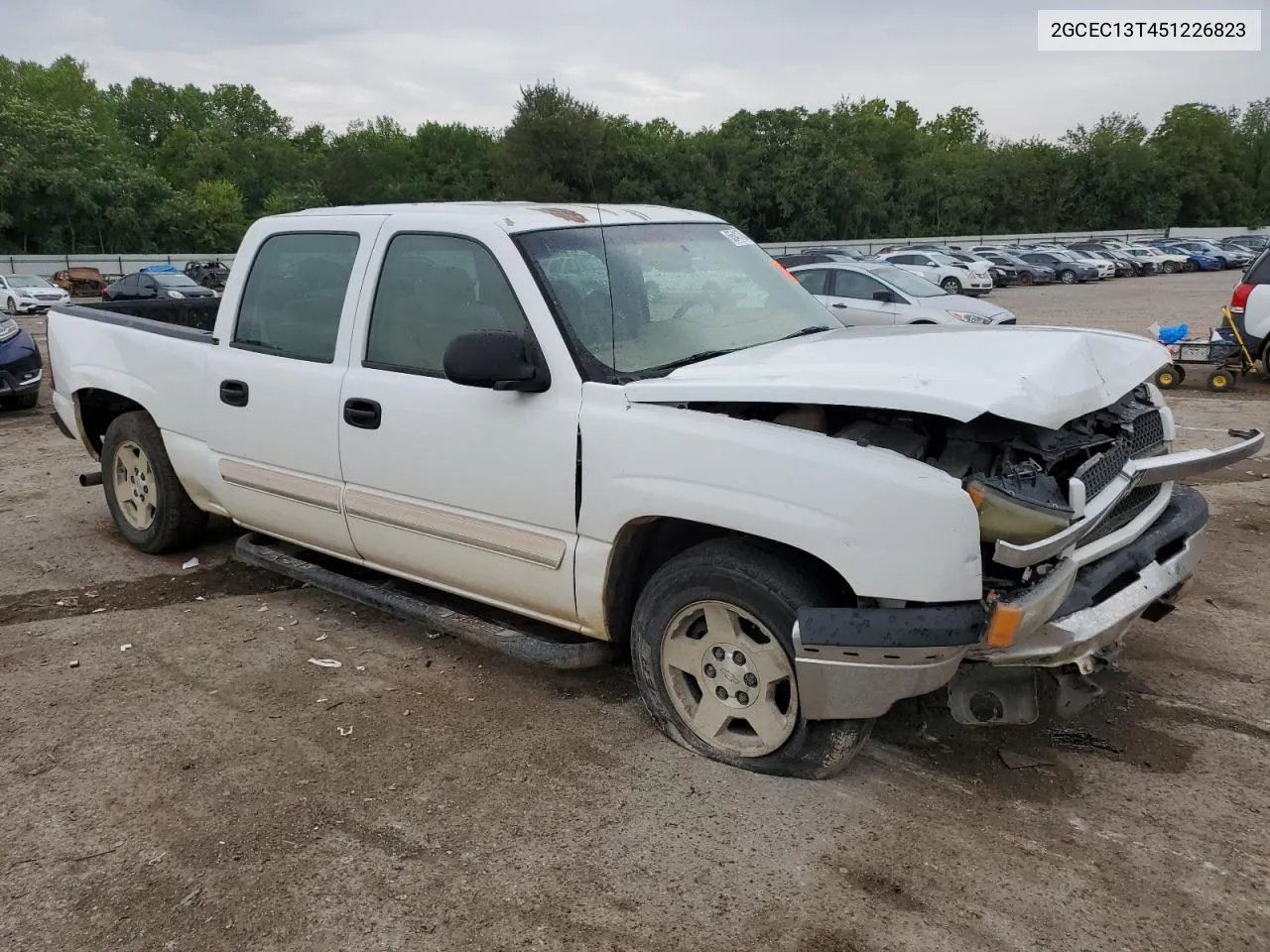 2005 Chevrolet Silverado C1500 VIN: 2GCEC13T451226823 Lot: 65417044