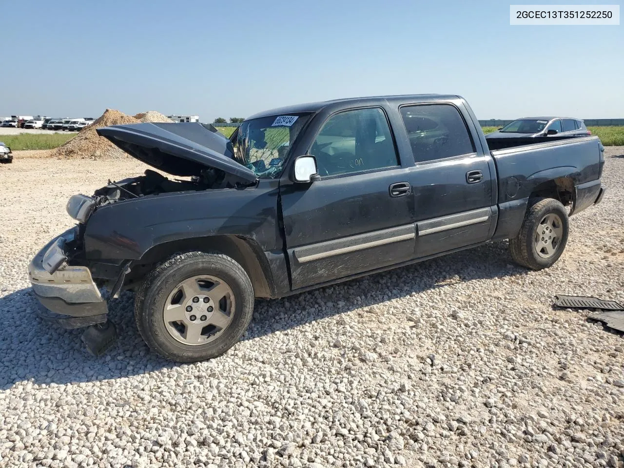 2005 Chevrolet Silverado C1500 VIN: 2GCEC13T351252250 Lot: 66234134