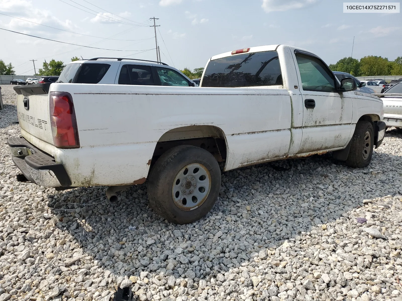 2005 Chevrolet Silverado C1500 VIN: 1GCEC14X75Z271571 Lot: 67242054