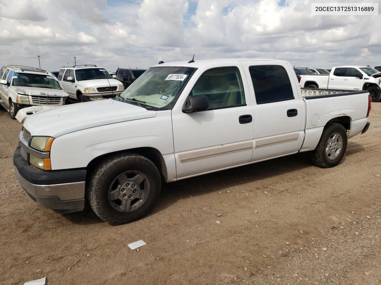 2005 Chevrolet Silverado C1500 VIN: 2GCEC13T251316889 Lot: 69177624