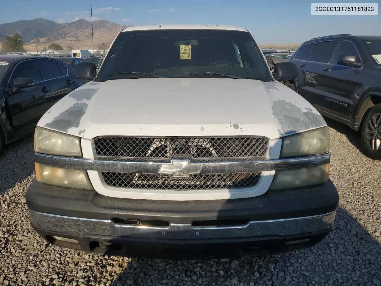 2005 Chevrolet Silverado C1500 VIN: 2GCEC13T751181893 Lot: 70655454