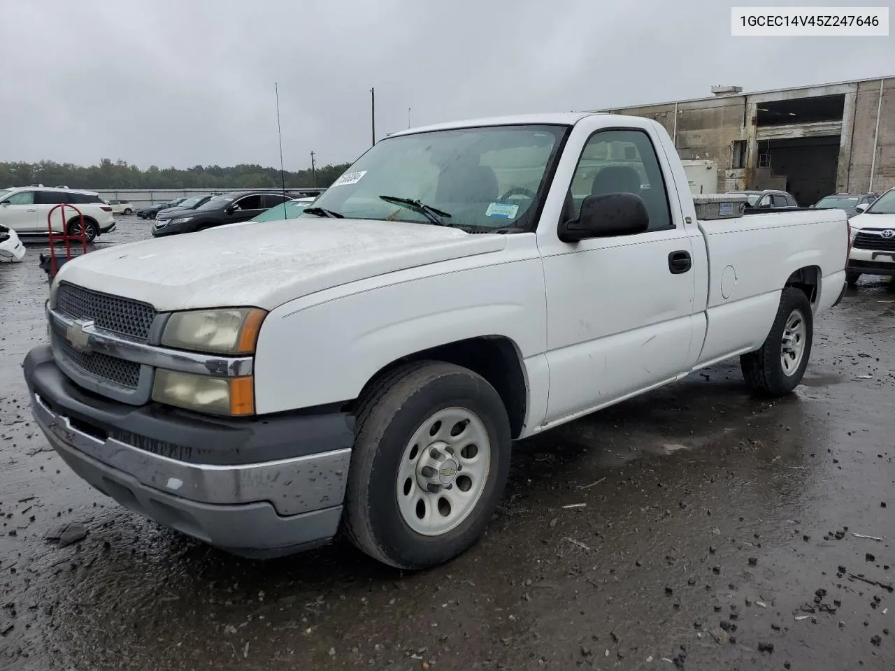 2005 Chevrolet Silverado C1500 VIN: 1GCEC14V45Z247646 Lot: 71506084