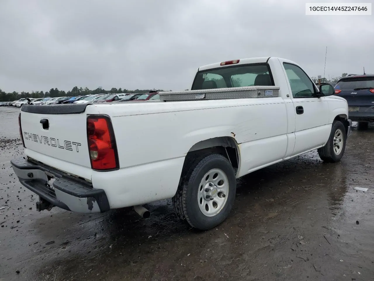 2005 Chevrolet Silverado C1500 VIN: 1GCEC14V45Z247646 Lot: 71506084