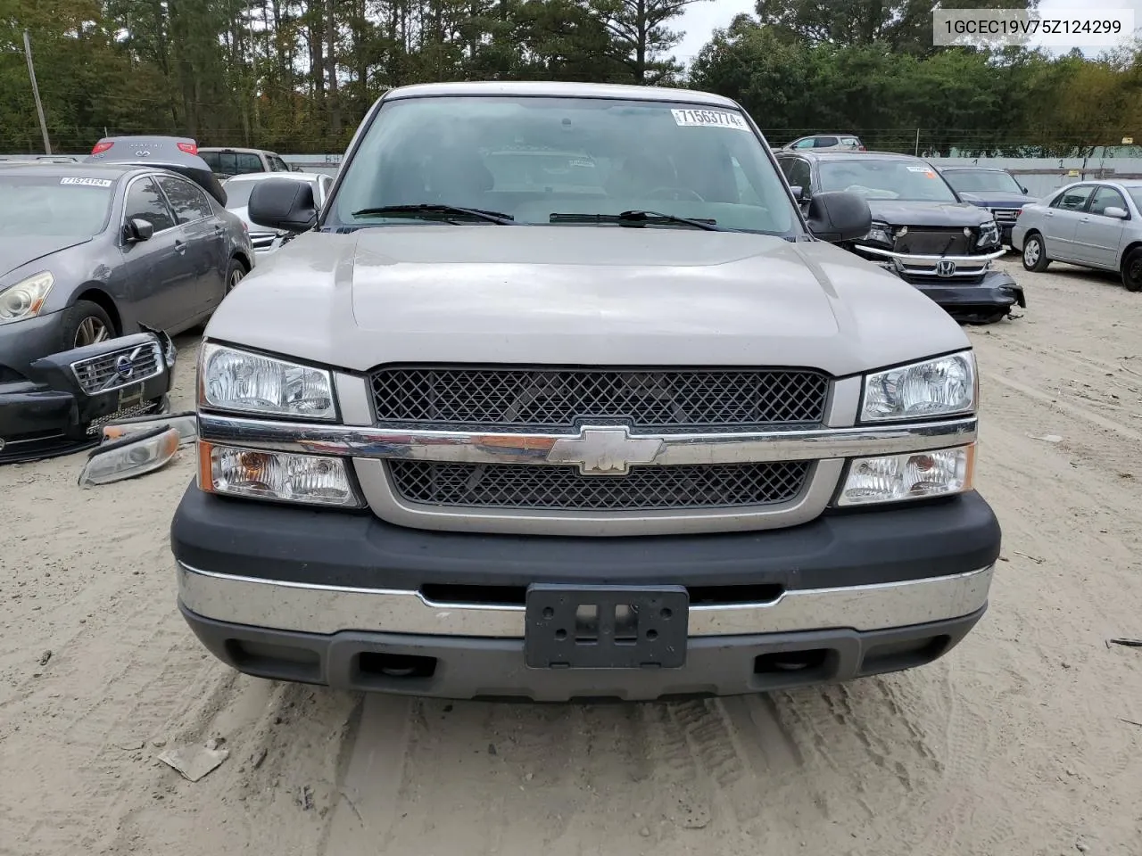 2005 Chevrolet Silverado C1500 VIN: 1GCEC19V75Z124299 Lot: 71563774