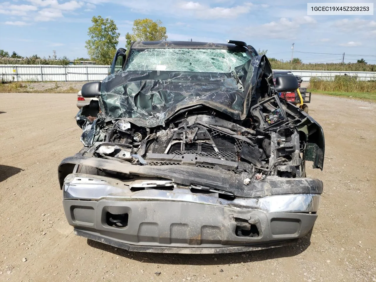 2005 Chevrolet Silverado C1500 VIN: 1GCEC19X45Z328253 Lot: 71990024