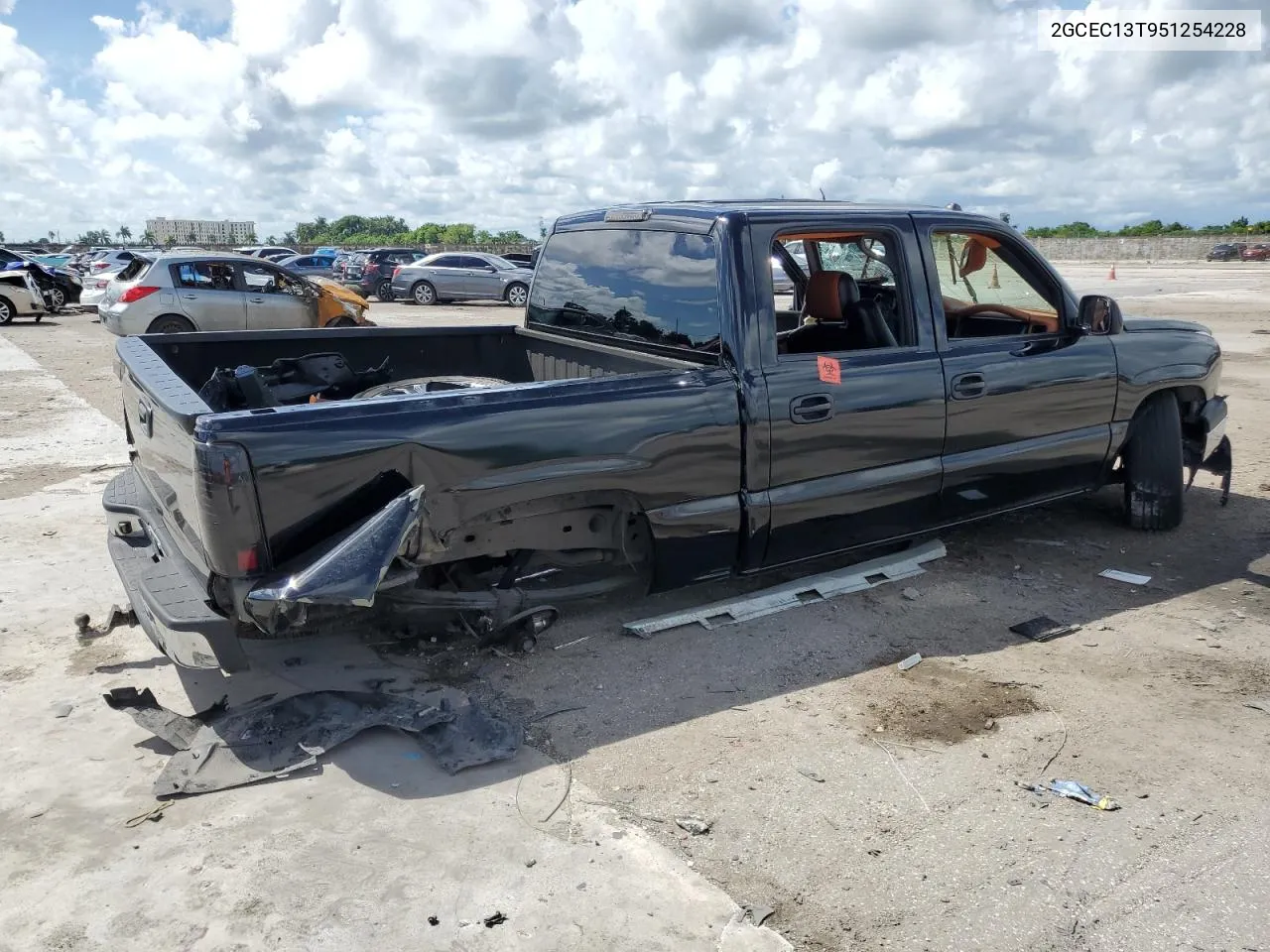 2005 Chevrolet Silverado C1500 VIN: 2GCEC13T951254228 Lot: 73436934