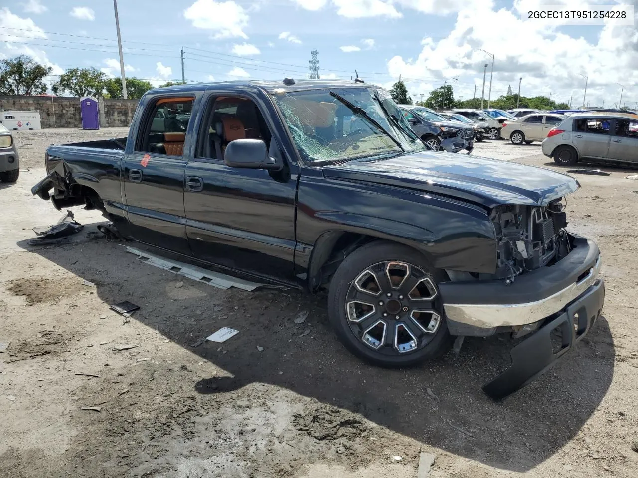 2005 Chevrolet Silverado C1500 VIN: 2GCEC13T951254228 Lot: 73436934