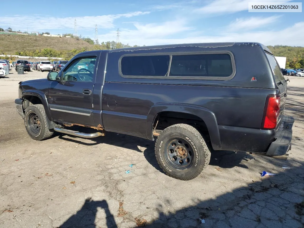 2005 Chevrolet Silverado K1500 VIN: 1GCEK14Z65Z201063 Lot: 75248474