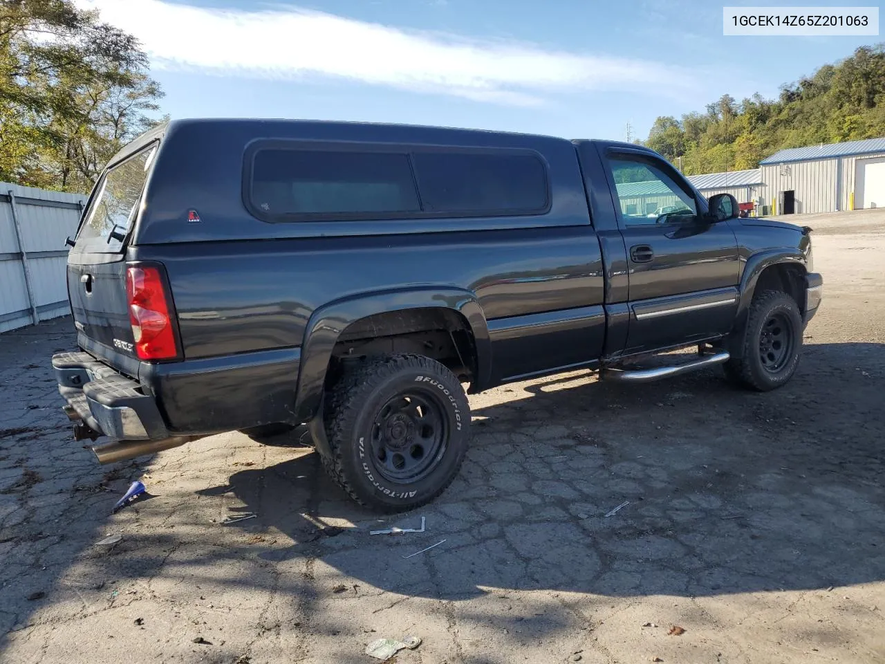 2005 Chevrolet Silverado K1500 VIN: 1GCEK14Z65Z201063 Lot: 75248474