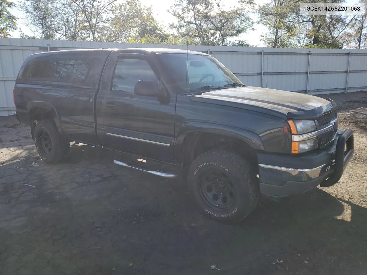 2005 Chevrolet Silverado K1500 VIN: 1GCEK14Z65Z201063 Lot: 75248474