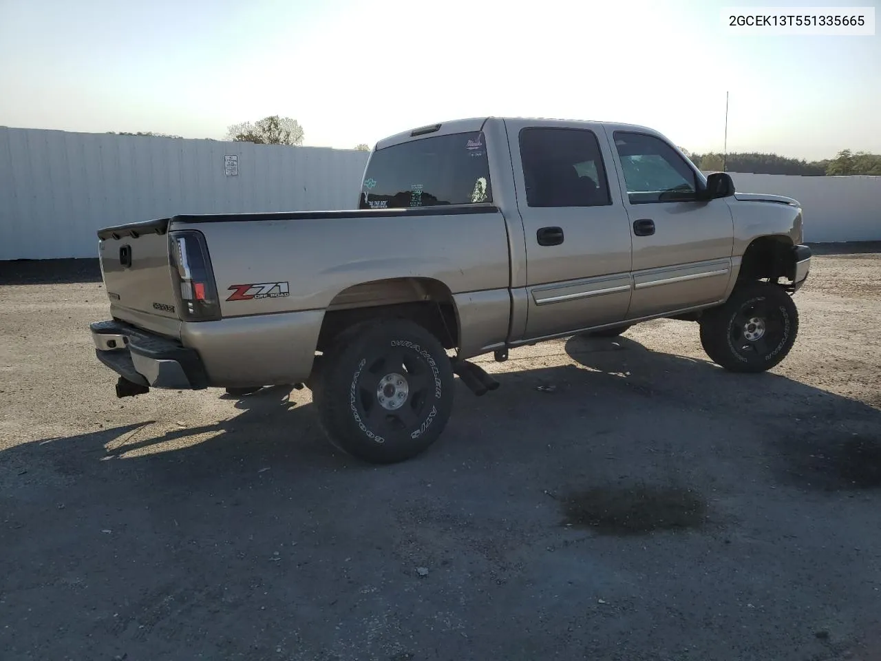 2005 Chevrolet Silverado K1500 VIN: 2GCEK13T551335665 Lot: 75428664