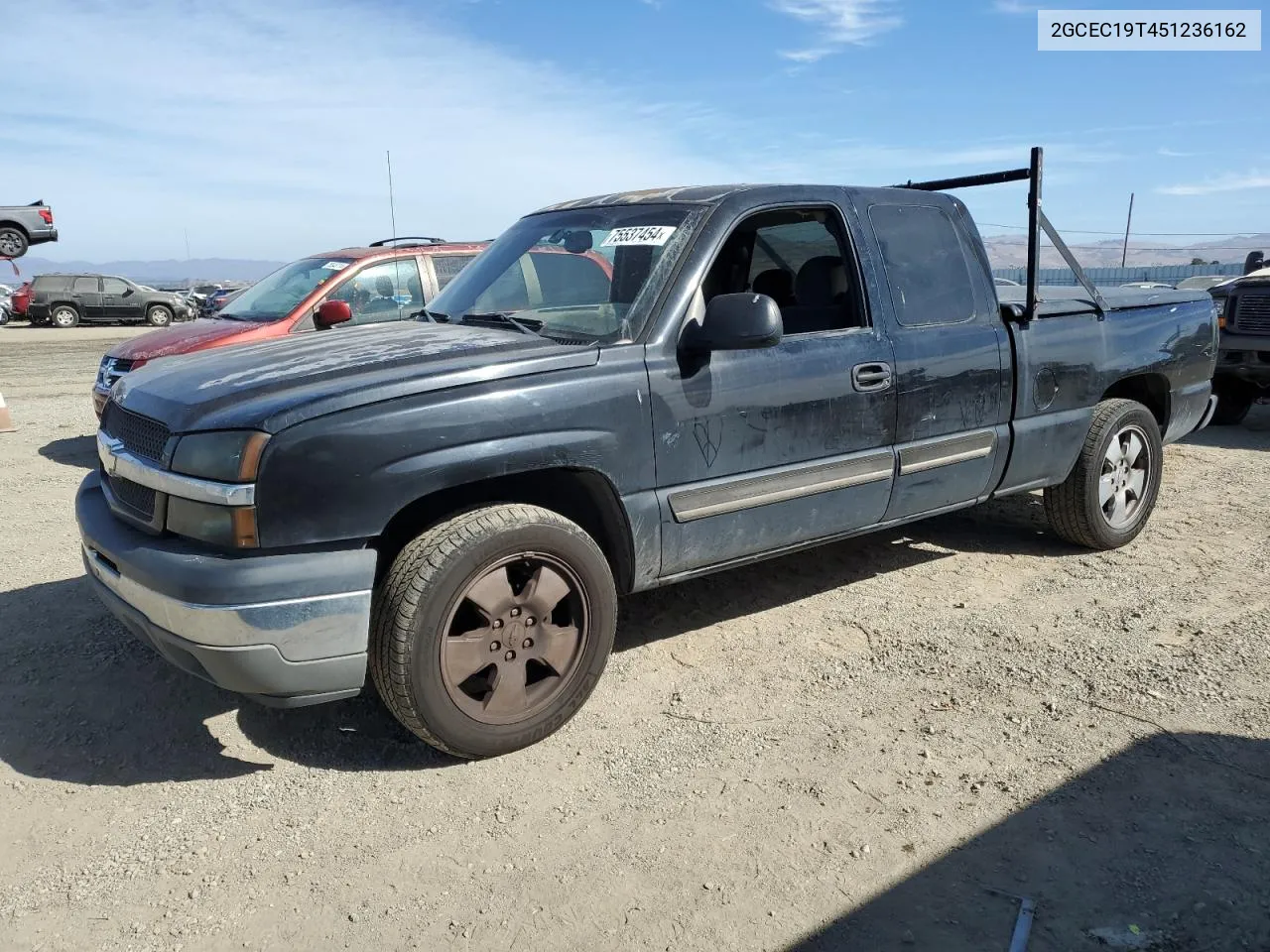 2005 Chevrolet Silverado C1500 VIN: 2GCEC19T451236162 Lot: 75537454