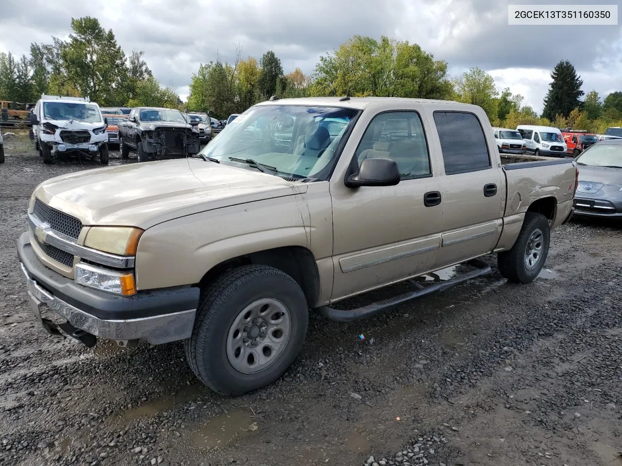 2005 Chevrolet Silverado K1500 VIN: 2GCEK13T351160350 Lot: 76497424