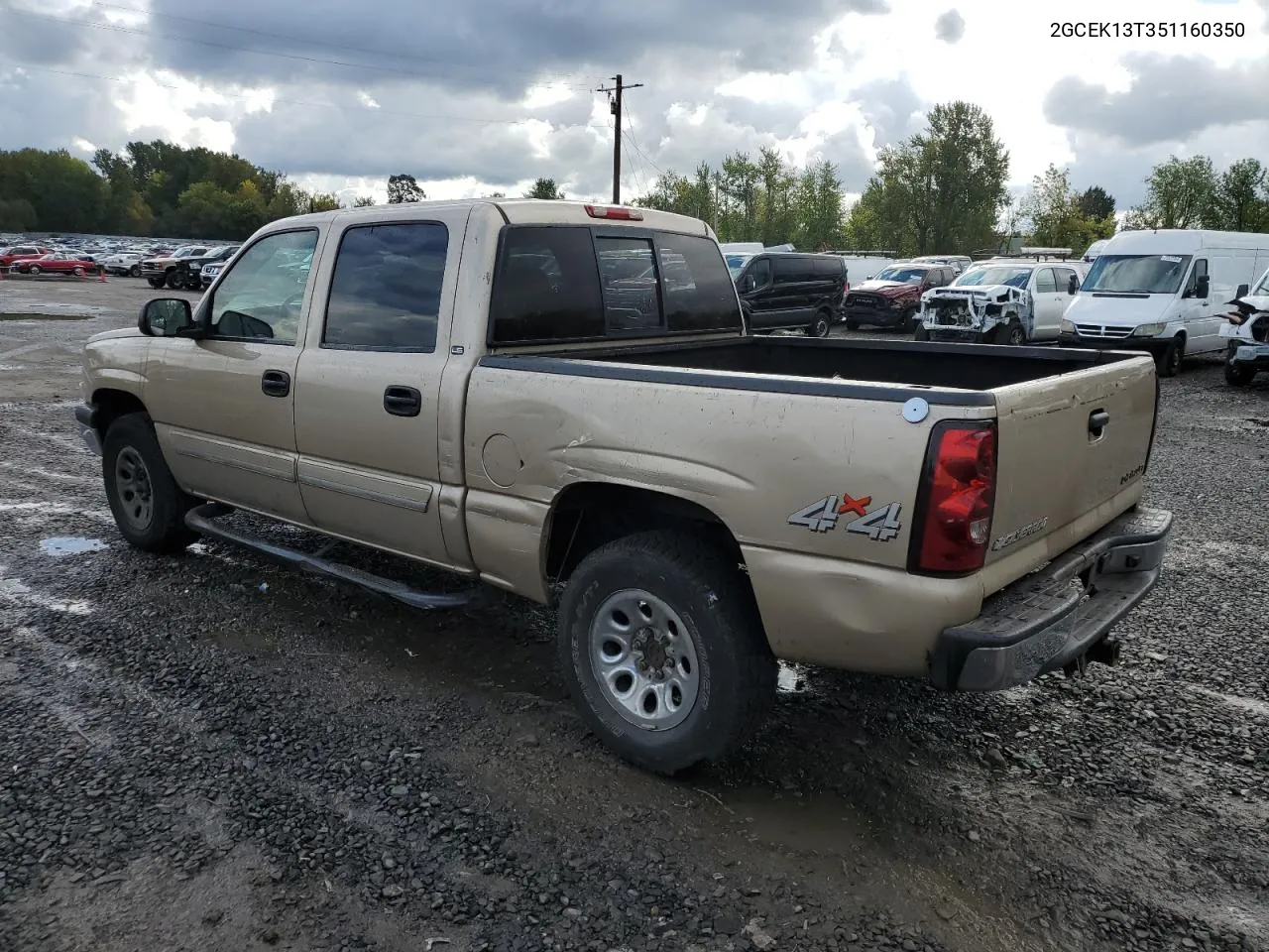 2005 Chevrolet Silverado K1500 VIN: 2GCEK13T351160350 Lot: 76497424