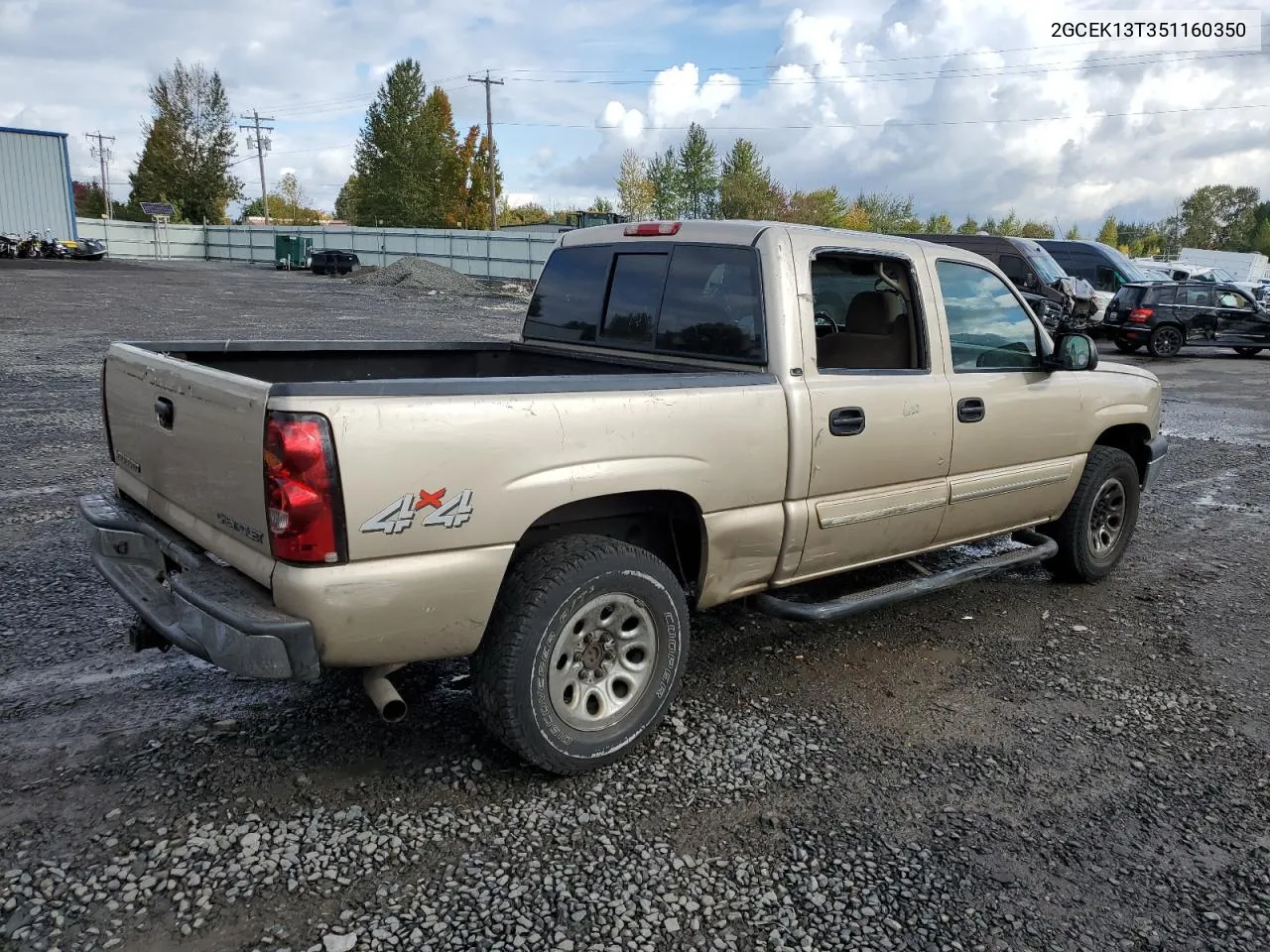 2005 Chevrolet Silverado K1500 VIN: 2GCEK13T351160350 Lot: 76497424