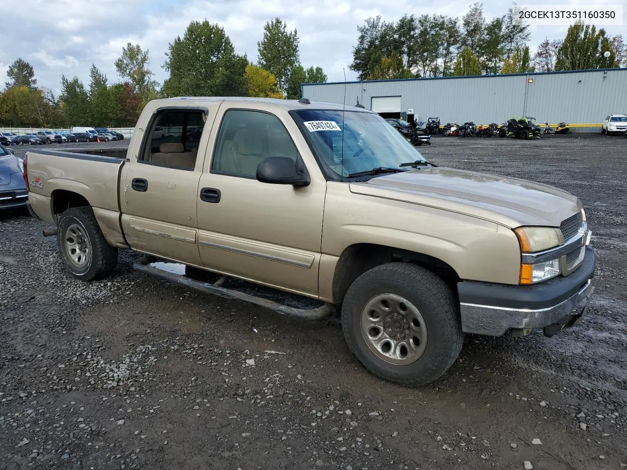 2005 Chevrolet Silverado K1500 VIN: 2GCEK13T351160350 Lot: 76497424