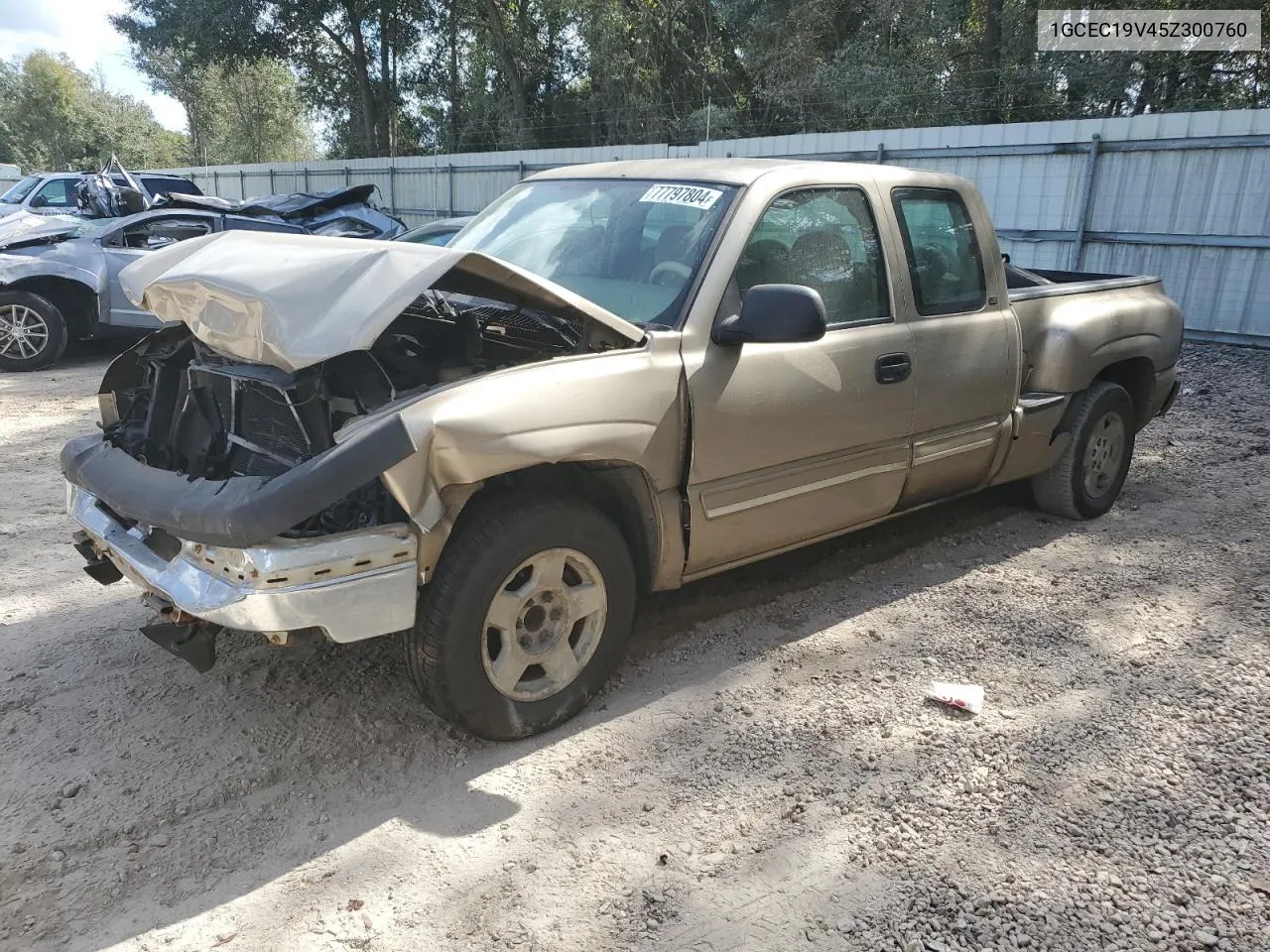 2005 Chevrolet Silverado C1500 VIN: 1GCEC19V45Z300760 Lot: 77797804