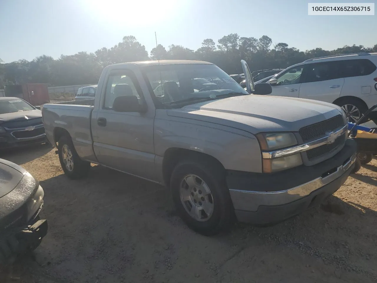 2005 Chevrolet Silverado C1500 VIN: 1GCEC14X65Z306715 Lot: 77926624