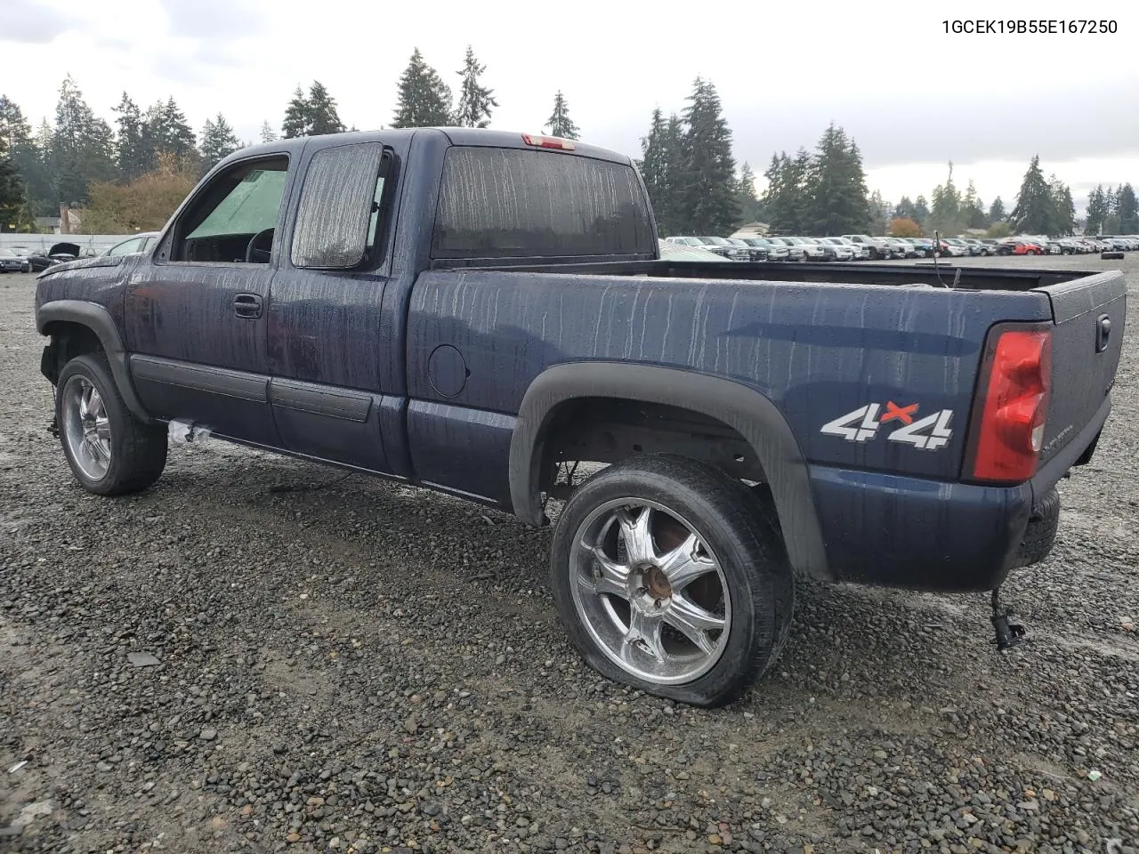 2005 Chevrolet Silverado K1500 VIN: 1GCEK19B55E167250 Lot: 78889744