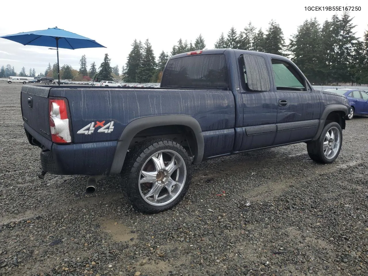 2005 Chevrolet Silverado K1500 VIN: 1GCEK19B55E167250 Lot: 78889744