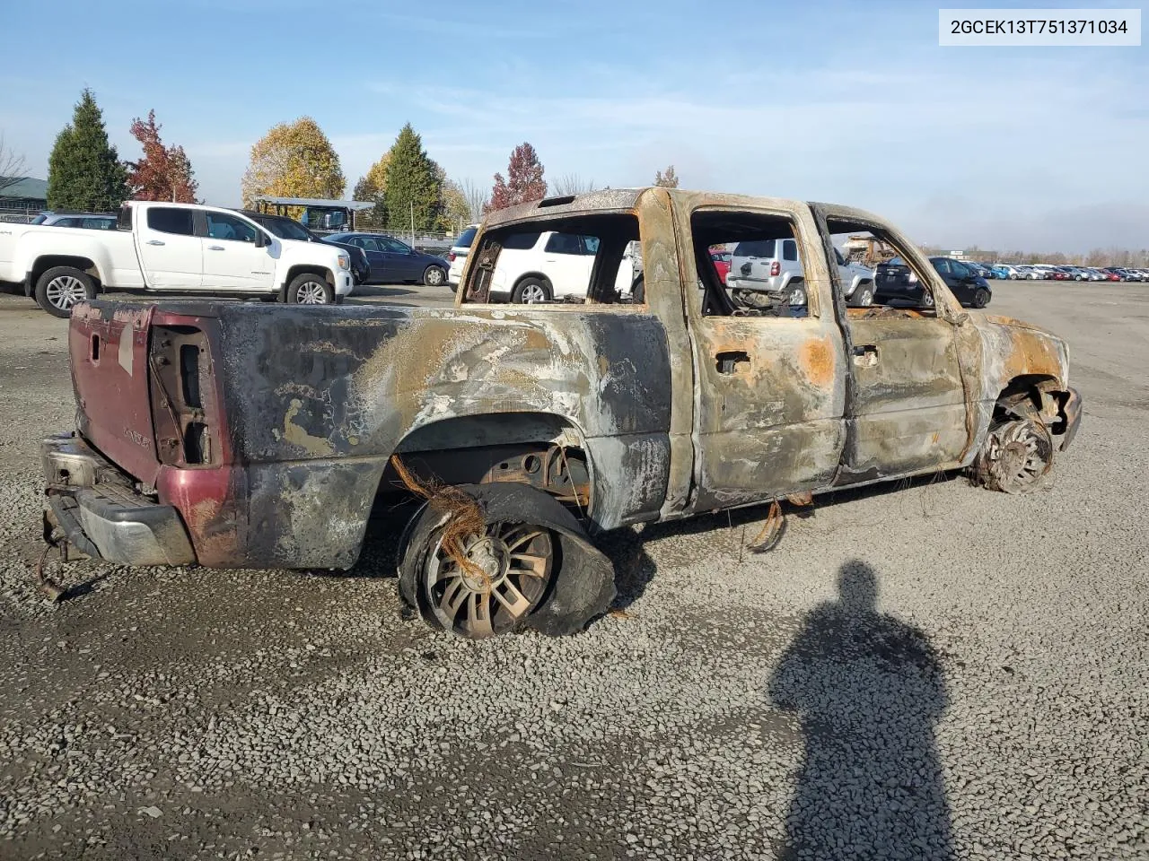 2005 Chevrolet Silverado K1500 VIN: 2GCEK13T751371034 Lot: 79568614