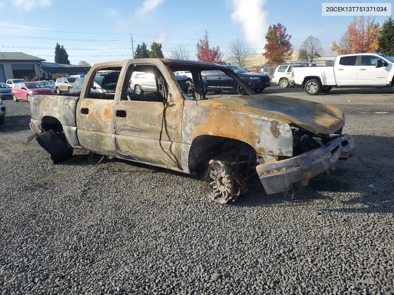 2005 Chevrolet Silverado K1500 VIN: 2GCEK13T751371034 Lot: 79568614